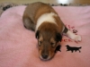 2014-08-07 Bonita 2 Woche (2)